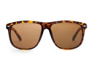 Ray Ban RB4147 Wayfarer Sunglasses Tortoise/Light Brown