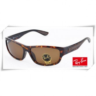 Ray Ban RB4169 Sunglasses Tortoise Frame Brown G-15 Lens
