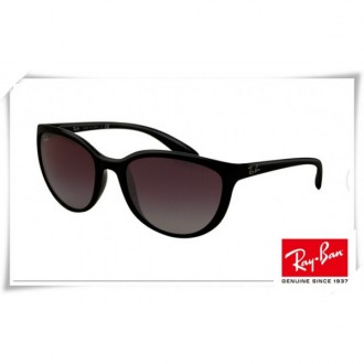Ray Ban Erika RB4274 Sunglasses Black Frame Grey Lens